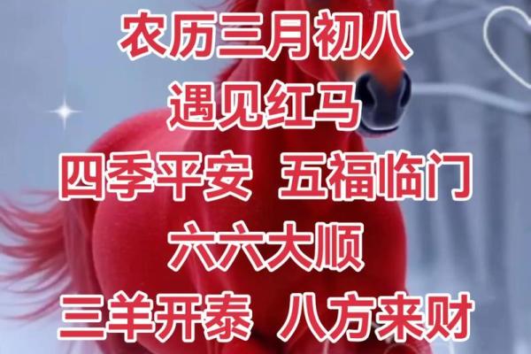 门面开业吉日查询 2024年五月适合生肖马开业的黄道吉日 门面开业吉日查询 2024年五月适合生肖马开业的黄道吉日