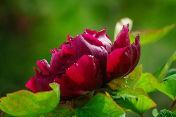 艾菲尔:财神爷垂青:二月财气大产生肖男孩和女孩 艾菲尔:财神爷垂青:二月财气大产生肖男孩和女孩