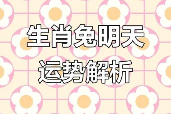 属兔出生最好六个吉日 属兔的出生吉日