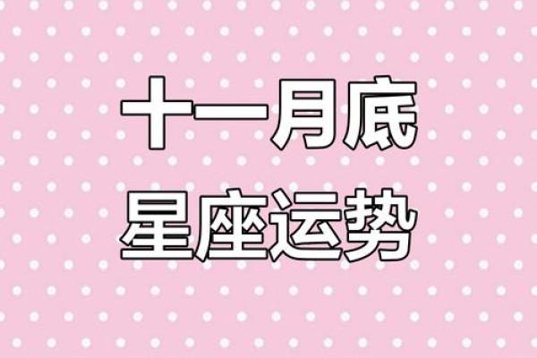 十二星座十一月整体运势 十二星座十一月整体运势