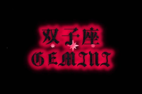 双子男适合找什么星座的 双子男适合找什么星座的