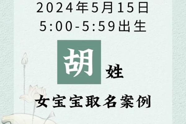 胡姓男孩名字大全-胡姓男孩起名字大全-胡姓名字大全姓名
