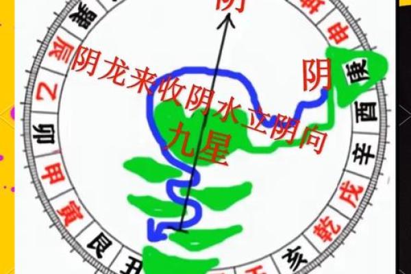 属相风水_生肖龙最厉害的地方在哪里 属相风水_生肖龙最厉害的地方在哪里