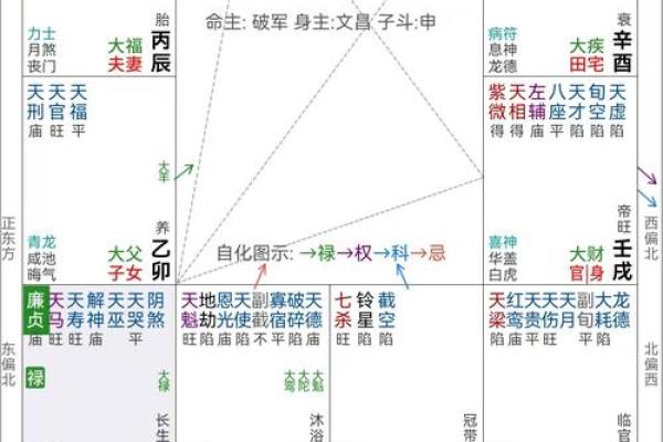 紫薇斗数工作怎么看