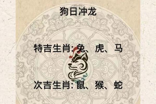 属鼠和属蛇的八字合不合得来,属蛇的跟属鼠的合财吗