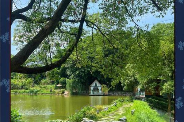 湖中央的房子风水 湖中央的房子风水