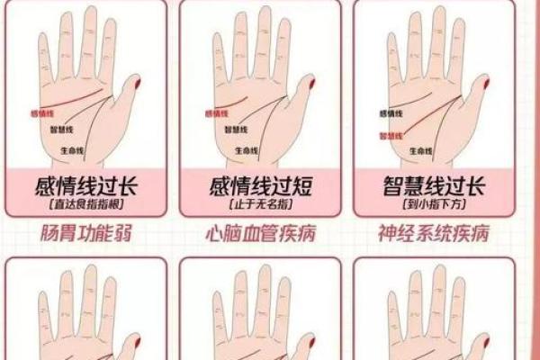图解：手相纵欲线算命