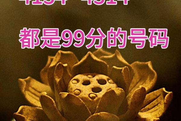 八字测手机号码 八字测手机号码