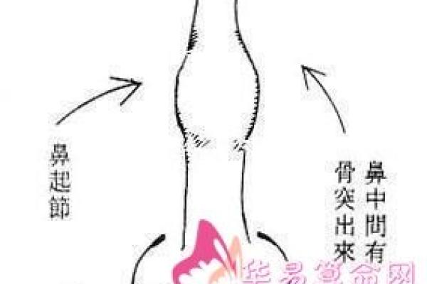 姓贝的名人-姓名学-华易算命网姓名