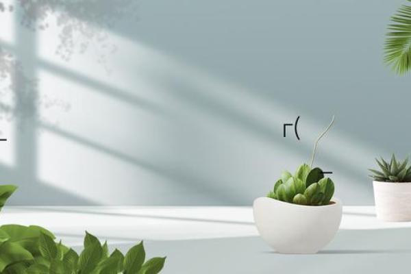 黄帝灵签第41签解签