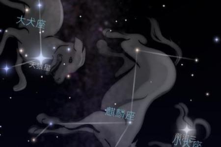 所有的星座都在银河系吗