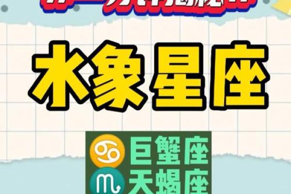 双子属于水象星座吗