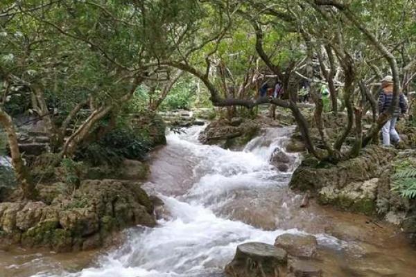 算命的说小孩扎根在水中 算命的说小孩扎根在水中