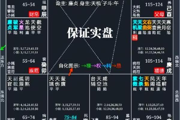 紫薇斗数36颗星代表什么 紫薇斗数36颗星代表什么
