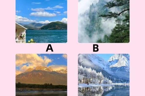 神准测试-你会被什么样的老板套牢? 神准测试-你会被什么样的老板套牢?