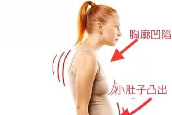 八字胸型 八字胸型