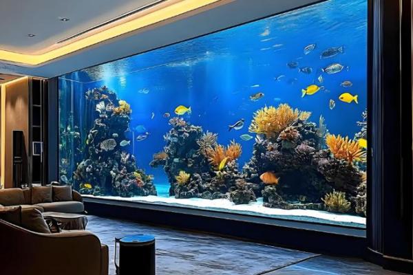 养鱼风水摆放位置的禁忌有哪些呢