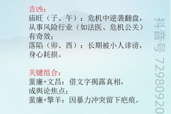 《紫微斗数》:廉贞.天相在财帛宫 《紫微斗数》:廉贞.天相在财帛宫