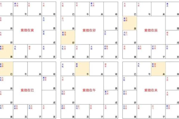 紫薇斗数星盘预测