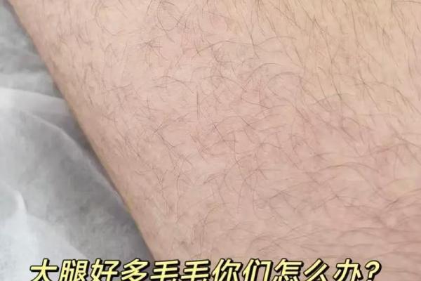 腿上有毛算命