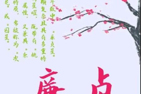 《紫微斗数》：廉贞.天相在财帛宫