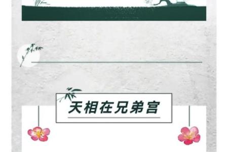 詹惟中紫薇斗数app