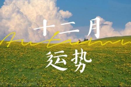 塔罗牌测试十二月健康运，你在健康方面情况如何？