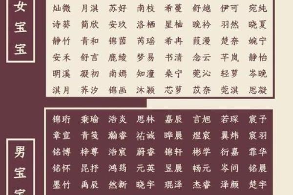 高分取名-2024年元旦节出生的宝宝八字起名字 高分取名-2024年元旦节出生的宝宝八字起名字