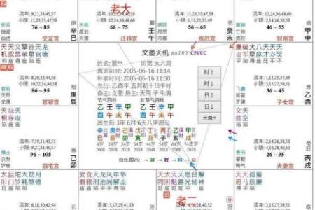 【紫微斗数】排盘技巧016：特殊格局的分析