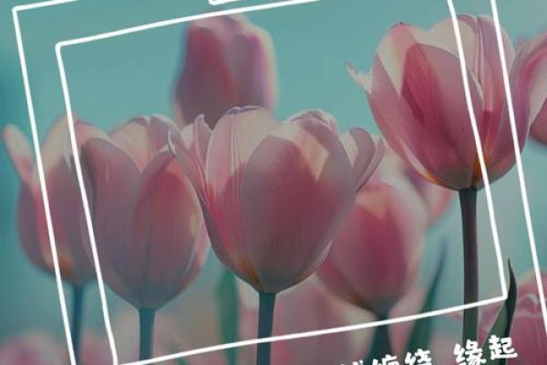 月老给你安排的姻缘文案 月老现在不管姻缘了? 月老给你安排的姻缘文案 月老现在不管姻缘了?