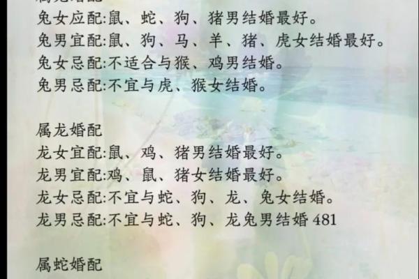 合八字属兔男与属蛇女适合做夫妻吗 婚配好吗