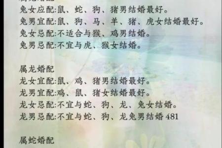 合八字属兔男与属蛇女适合做夫妻吗 婚配好吗