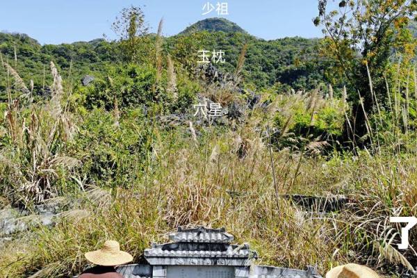 墓地风水的朝向有哪些禁忌- 墓地风水的朝向有哪些禁忌-