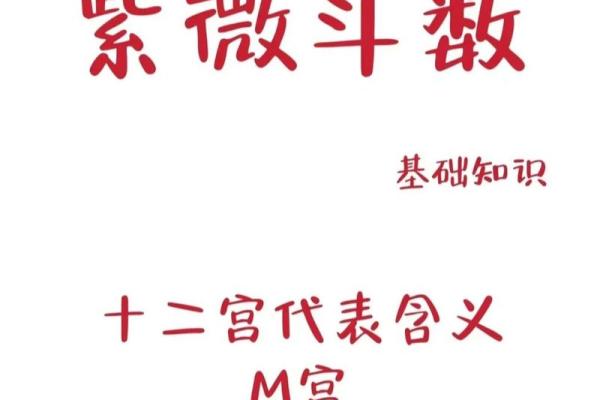紫薇斗数发明者 紫薇斗数发明者