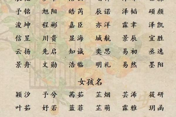 免费以八字取名大全，助你给宝宝起个好名字