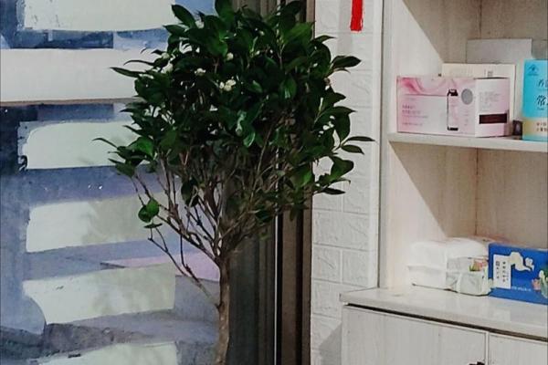 风水上十大不吉利花是哪几种