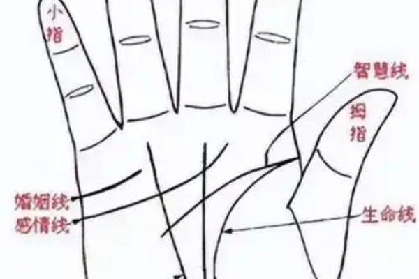 详细分析：手掌中的指纹预测算命，快来算算你的运势如何！