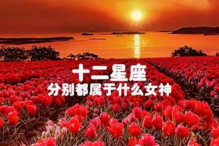 十二星座中哪个星座女最温柔