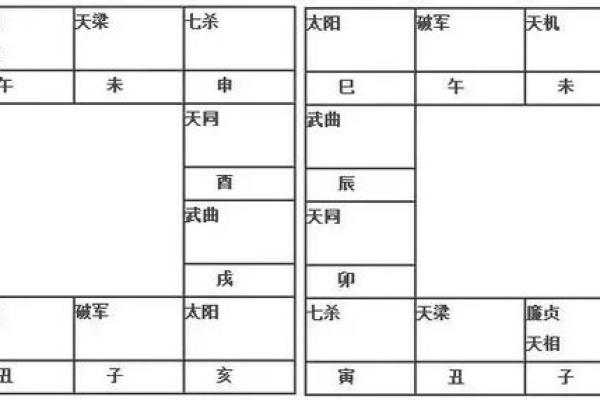 紫薇斗数排盘死