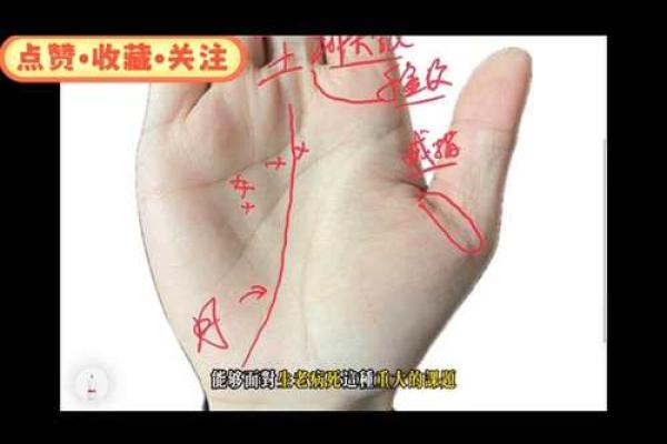 手相算命，对着内容看你的手相