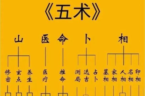 壹年山人紫薇斗数