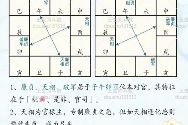 壹年山人紫薇斗数