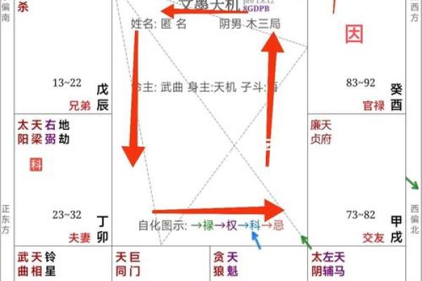 紫微斗数实战 紫微斗数实战案例？
