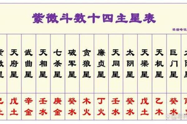 紫薇斗数预示什么