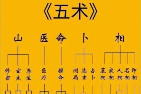 壹年山人紫薇斗数