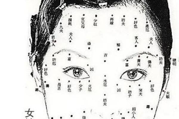 背上的痣图解算命