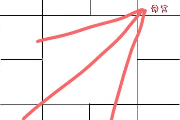紫薇斗数 七杀是什么