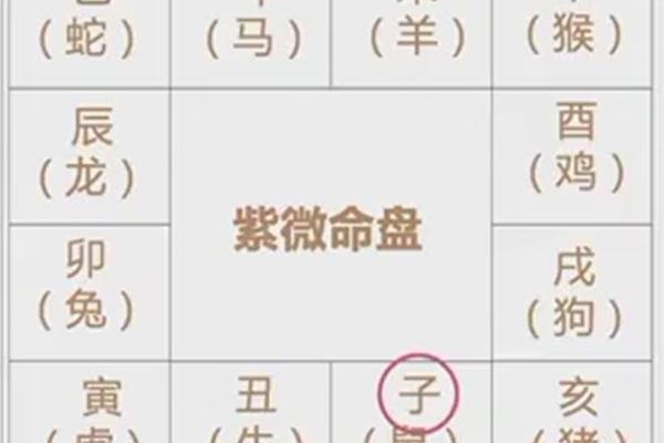 紫薇斗数夫妻宫代表