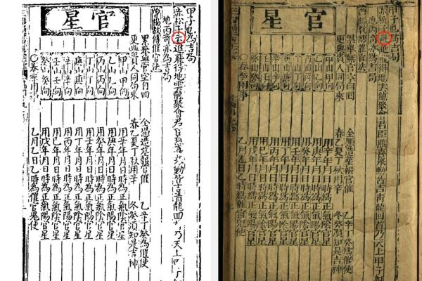 紫薇斗数书入门