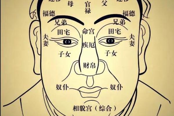 面部上的胎记算命分析